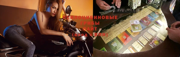 MESCALINE Алзамай