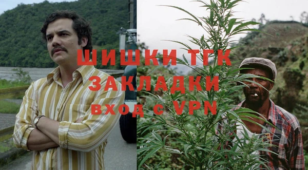 дурь Алексеевка
