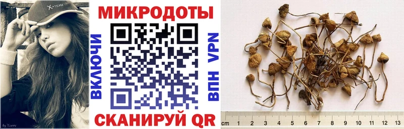 мега вход  Новозыбков  Галлюциногенные грибы MAGIC MUSHROOMS 